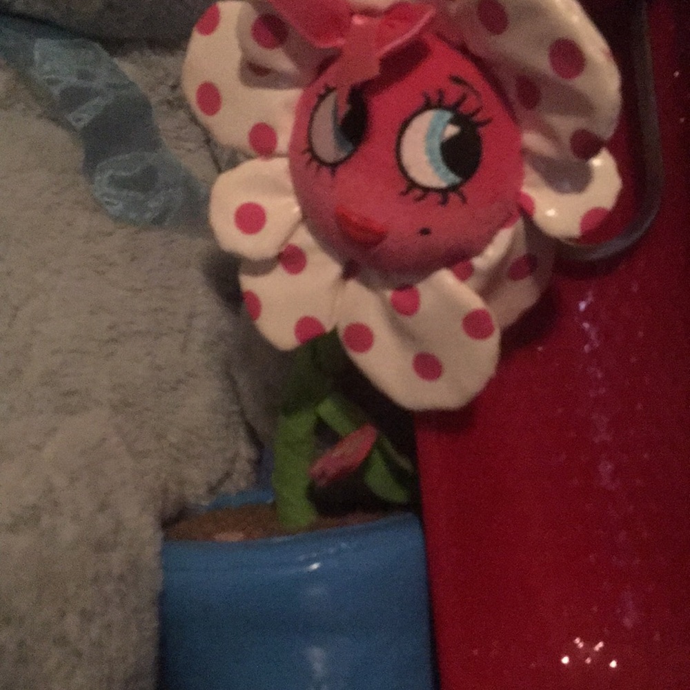 Stuff - Picture 5 of 8
